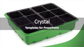  Presentation with seedling - Presentation having plant cell - empty plastic seedling tray isolated background and a wine colored foreground