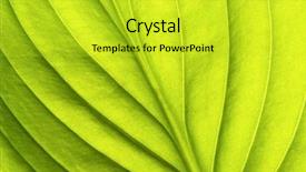  Presentation with green leaf - Colorful slide deck enhanced with plant cell - green leaf backdrop and a yellow colored foreground