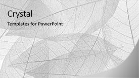  Presentation with skeleton - Theme consisting of plant cell - skeleton leaf background background and a light gray colored foreground