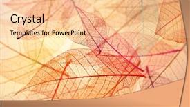  Presentation with skeleton - Theme featuring plant cell - skeleton leaves background background and a lemonade colored foreground