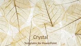  Presentation with cell - Presentation design enhanced with plant cell - transparent leaves background and a lemonade colored foreground