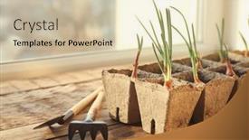  Presentation with garden tools - Beautiful presentation theme featuring plant cultivation with garden tools on wooden window sill backdrop and a lemonade colored foreground