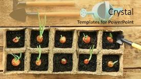  Presentation with garden tools - Presentation theme having plant cultivation with garden tools background and a yellow colored foreground