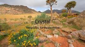  Presentation with south africa - PPT layouts consisting of plant desert - landscape with wild flowers background and a gold colored foreground