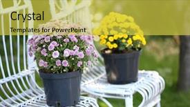  Presentation with wicker - Beautiful presentation theme featuring plant design - yellow and lilac flowers backdrop and a  colored foreground