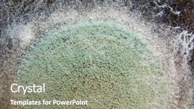  Presentation with mold - Presentation theme consisting of plant diseases - close-up image of a mold background and a gray colored foreground