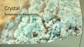  Presentation with mold - Presentation theme enhanced with plant diseases - mold closeup background and a yellow colored foreground