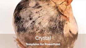  Presentation with aspergillus - Colorful presentation enhanced with abstract composition with flowing design good for backgrounds backdrop and a white colored foreground