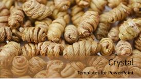  Presentation with pile - Slides having plant diseases - pile of dendrobium nobile background and a coral colored foreground