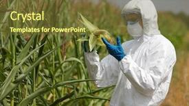  Presentation with corn cob - Slide set consisting of plant diseases - profesional in uniform goggles mask background and a tawny brown colored foreground