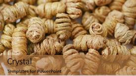  Presentation with traditional chinese medicine - PPT layouts consisting of plant diseases - traditional chinese medicine dendrobium nobile background and a coral colored foreground