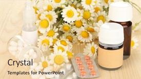  Presentation with chamomile - Colorful PPT theme enhanced with plant diseases cure - medicine chamomile flowers on wooden backdrop and a  colored foreground