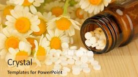  Presentation with cure - Presentation theme having plant diseases cure - medicine chamomile flowers on wooden background and a  colored foreground