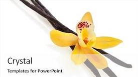  Presentation with vanilla - Amazing PPT theme having plant extracts - vanilla orchid pod isolated backdrop and a white colored foreground