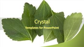  Presentation with food supplements - Beautiful slide set featuring plant food supplements - stevia leaves pieces isolated om backdrop and a tawny brown colored foreground