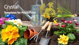  Presentation with dirt - Slides having plant garden - planting flowers in pot background and a dark gray colored foreground