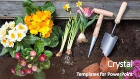  Presentation with dirt - Theme having plant garden - planting flowers in pot background and a tawny brown colored foreground