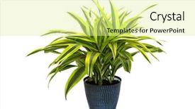  Presentation with green house - Slide deck featuring plant green house plant potted background and a blonde colored foreground