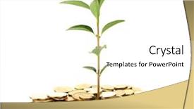  Presentation with white gold - Cool new presentation theme with plant growing out of gold backdrop and a white colored foreground