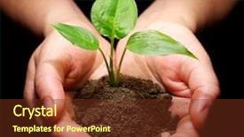  Presentation with soil - Presentation theme consisting of plant growth - hands holding sapling in soil background and a tawny brown colored foreground