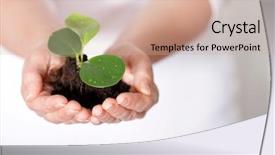  Presentation with shot - Slide set having plant growth - isolated shot of a fresh background and a soft green colored foreground