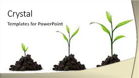  Presentation with tree - Slides with plant growth - three small tree isolated background and a white colored foreground