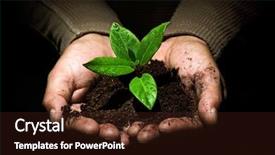  Presentation with environment - Colorful theme enhanced with plant hand - taking care of new development backdrop and a wine colored foreground