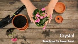  Presentation with flower woman - PPT theme featuring plant hand - woman planting flower in pot background and a violet colored foreground