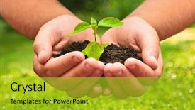  Presentation with natural - Theme having plant in a child hands background and a gold colored foreground