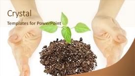  Presentation with plant breeding - Slide set having plant in a hand isolated on white background background and a lemonade colored foreground