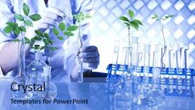  Presentation with hands planting a cabbage seedling - PPT theme having plant in a test tube background and a light blue colored foreground