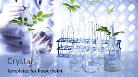  Presentation with scientist - Theme enhanced with plant-in-a-test-tube background and a light blue colored foreground