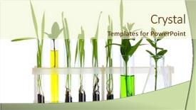  Presentation with test - Audience pleasing PPT theme consisting of plant in a test tube isolated on white backdrop and a cream colored foreground