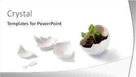  Presentation with eggshell - Presentation design with plant in eggshell background and a white colored foreground