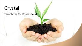  Presentation with hand holding flowers - Cool new theme with plant in female hands backdrop and a white colored foreground