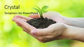  Presentation with plant - Amazing slides having plant in the hand backdrop and a yellow colored foreground