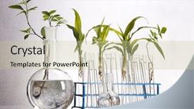  Presentation with laboratory - Cool new theme with plant lab - experimenting with flora in laboratory backdrop and a  colored foreground