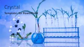  Presentation with chemical plant - PPT layouts with plant-laboratory-experimental-chemical-glassware background and a light blue colored foreground