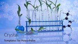  Presentation with chemical plant - PPT theme enhanced with plant-laboratory-experimental-chemical-glassware background and a light blue colored foreground
