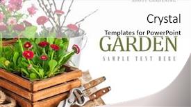  Presentation with garden tools - Amazing slide set having plant layout - spring flowers in wooden bucket backdrop and a white colored foreground