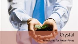  Presentation with sprout - Presentation theme having plant money - close up of businessman hands background and a red colored foreground