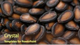  Presentation with black seed - Slide deck having plant movements - black watermelon seed background and a tawny brown colored foreground