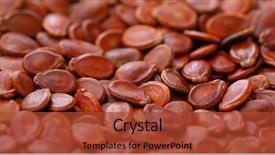  Presentation with melon - Colorful presentation theme enhanced with plant movements - chinese new year red melon backdrop and a red colored foreground