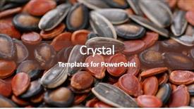  Presentation with lunar new year - Amazing PPT theme having plant movements - mix of dry seed backdrop and a tawny brown colored foreground