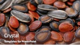  Presentation with lunar new year - PPT theme consisting of plant movements - mix of dry seed background and a tawny brown colored foreground