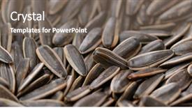  Presentation with seed - Slide deck consisting of plant movements - sunflower dry seed background and a gray colored foreground