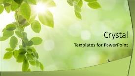 Presentation with plant - PPT theme enhanced with plant music - beautiful backdrop of grass background and a soft green colored foreground