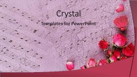  Presentation with pink roses - Presentation theme with plant music - beautiful pink dried roses background and a soft green colored foreground