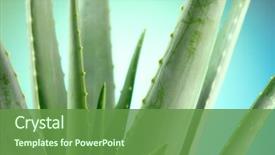  Presentation with organic cosmetics - Cool new PPT theme with plant natural organic renewal cosmetics backdrop and a tawny brown colored foreground