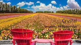  Presentation with unique red chair - PPT theme having plant nature - convenient red chairs background and a  colored foreground